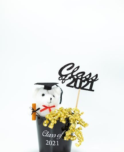 Купить диплом с внесением в реестр